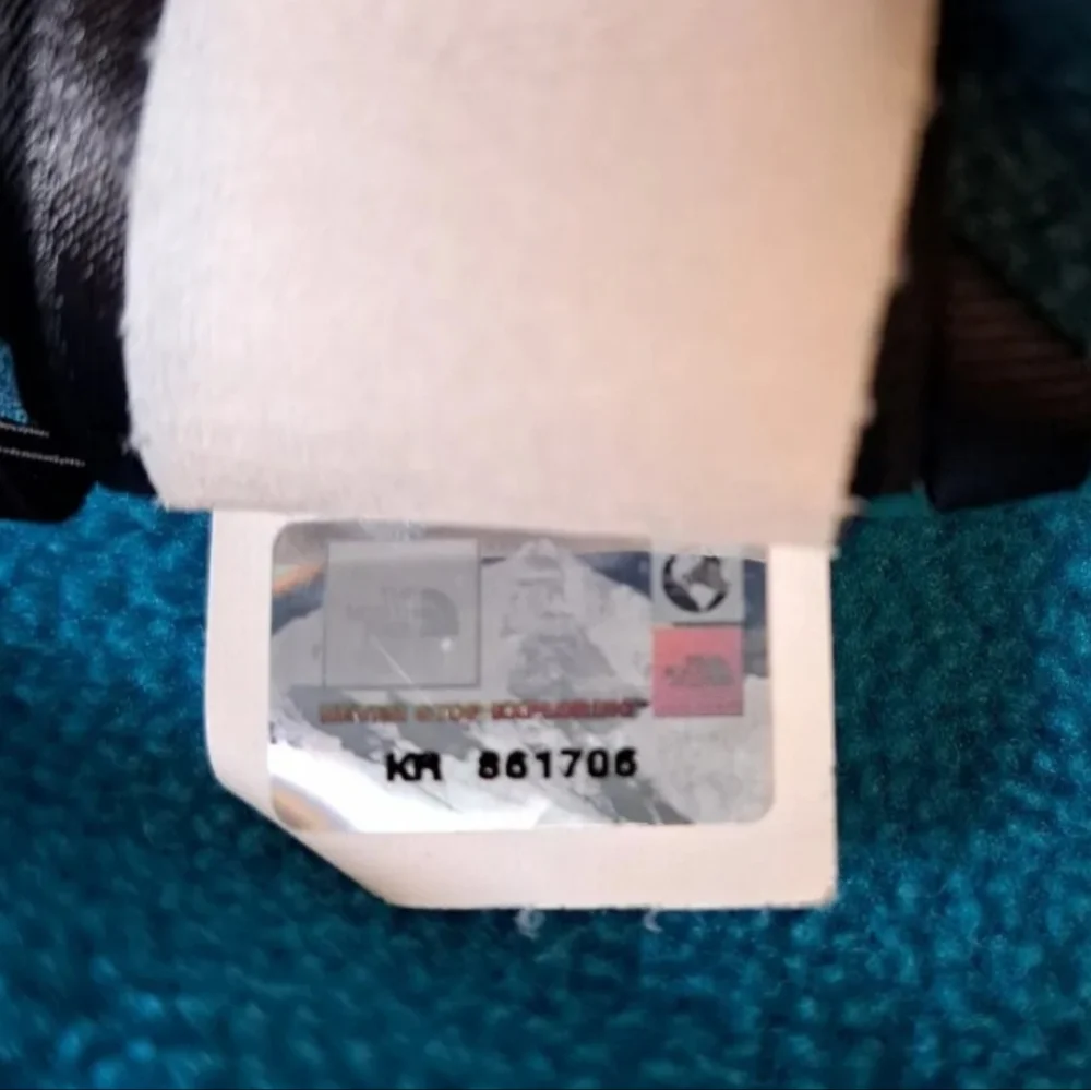 The North Face north face